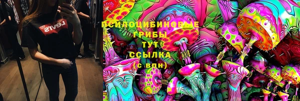 mdma Богданович